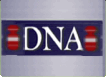 DNA Interactive