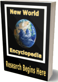 New World Encyclopedia technology article